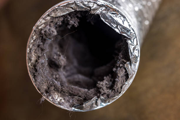 Best Ductwork Cleaning Services  in Lapeer, MI